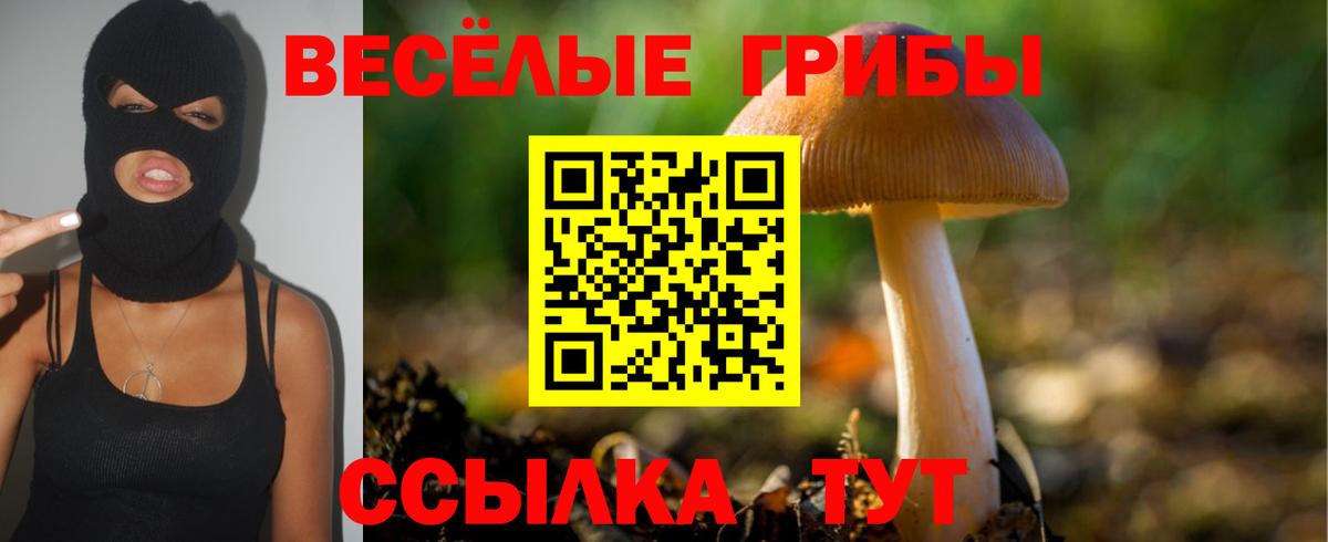 Джанкой  Галлюциногенные грибы Psilocybine cubensis  Вход с VPN 